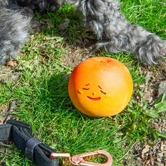 Kobe Peach Fruit Squeaker