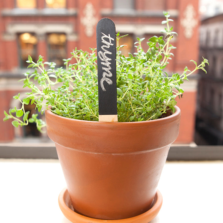 Reusable Garden Markers