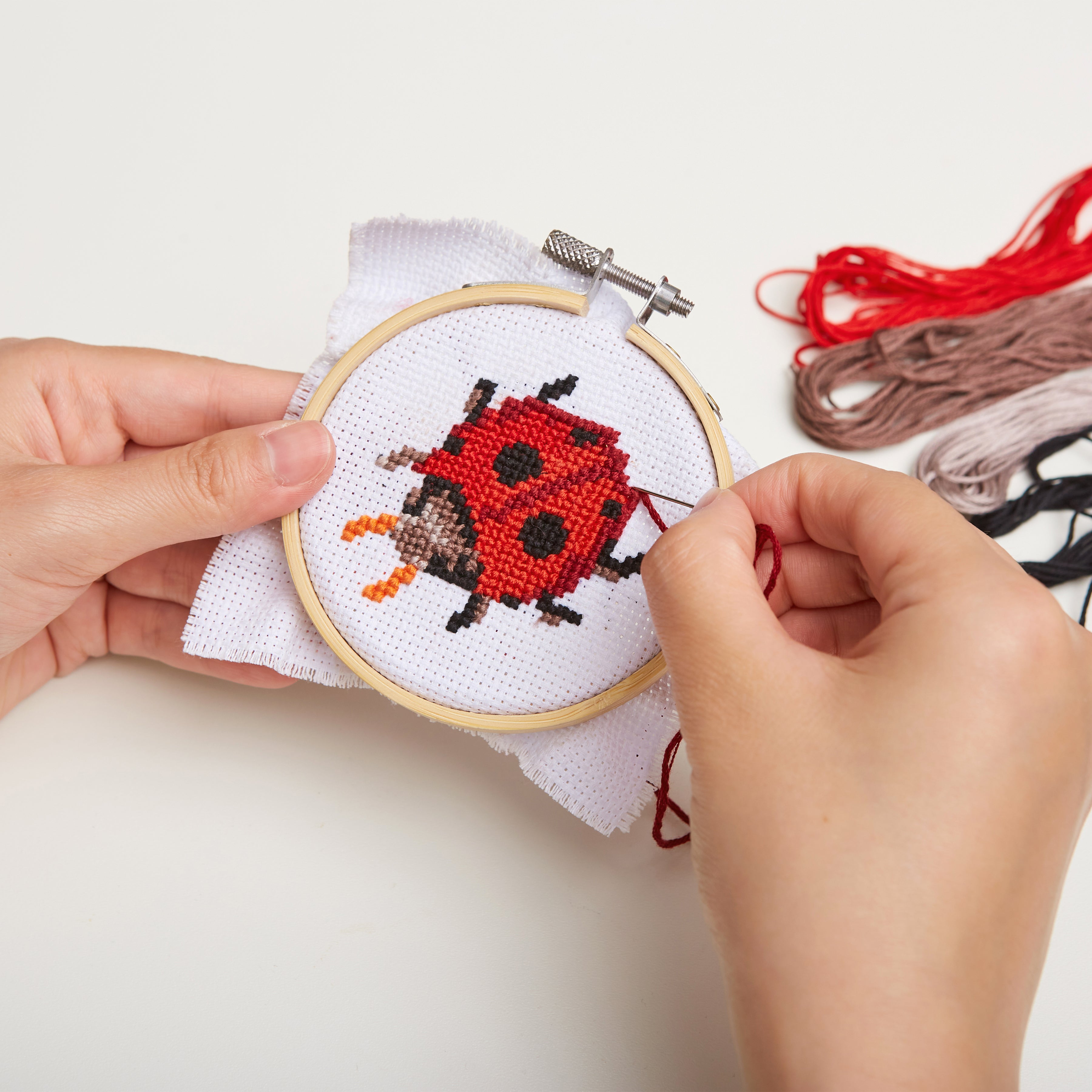 Ladybug Mini Cross Stitch Embroidery Kit – Kikkerland Design Inc