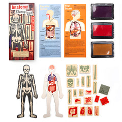 Anatomy Stamp Set