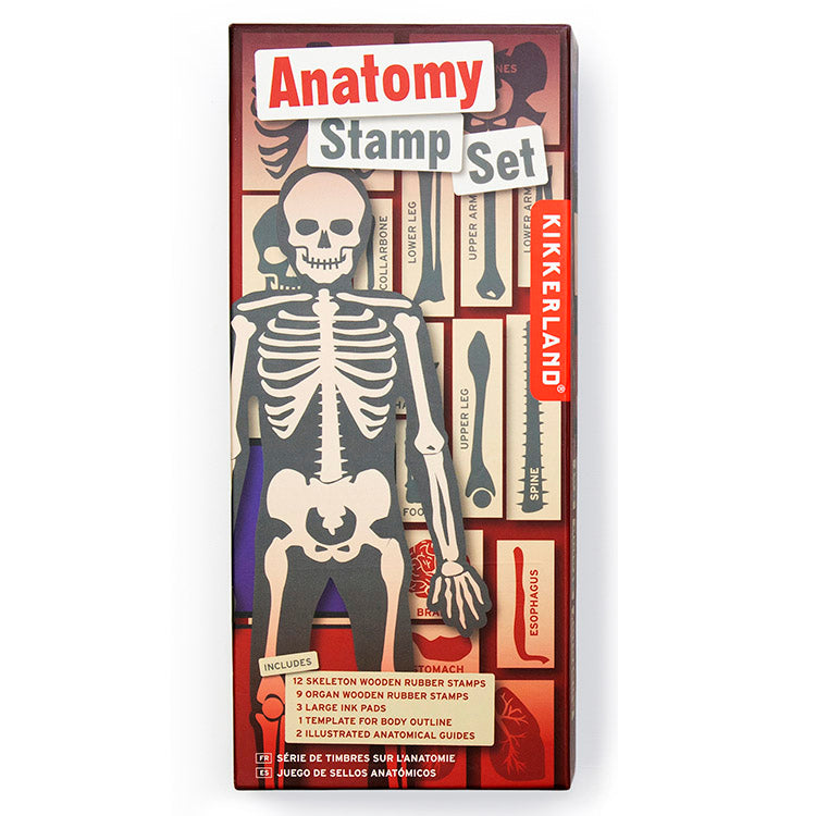 Anatomy Stamp Set