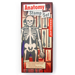 Anatomy Stamp Set