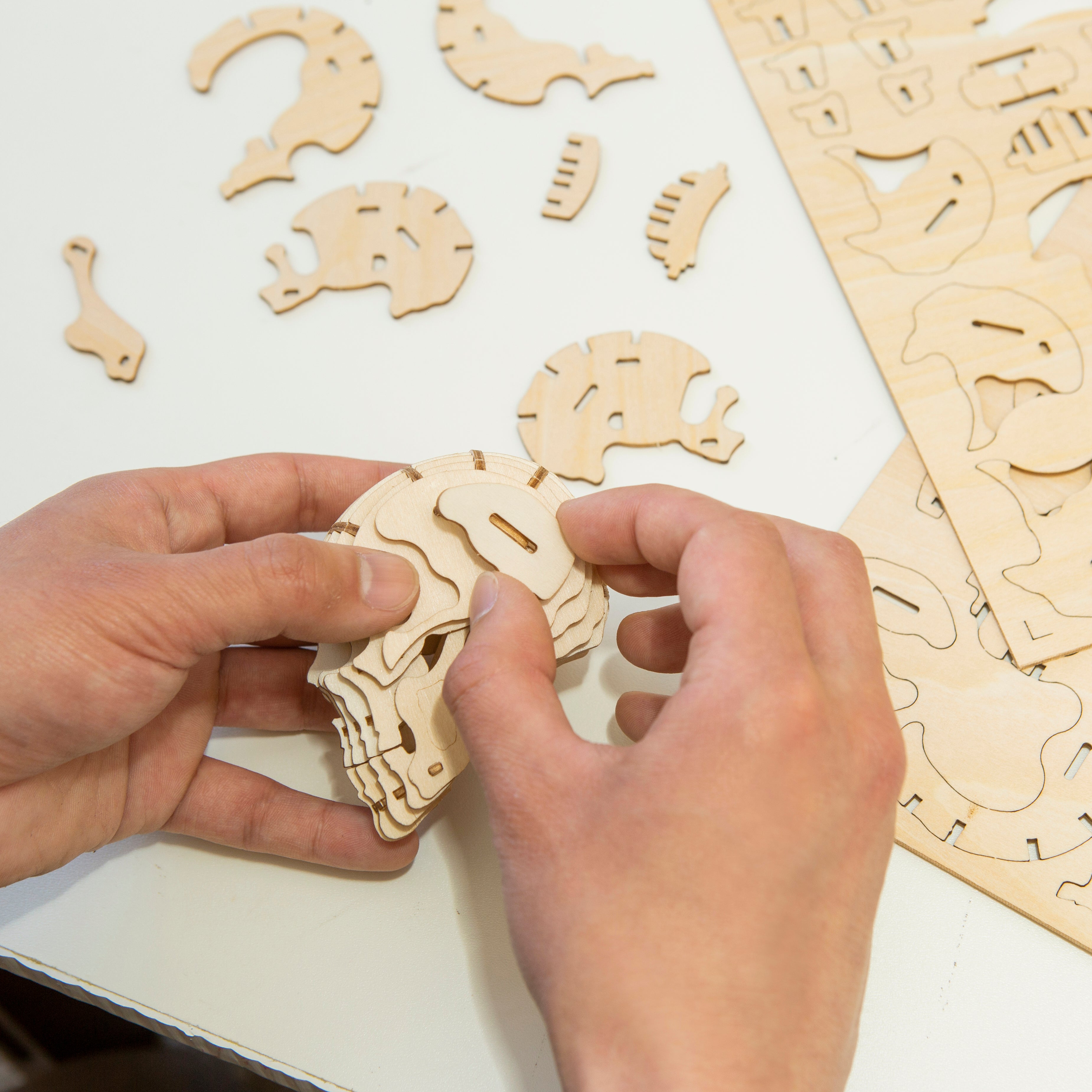 Kikkerland orders wooden puzzle