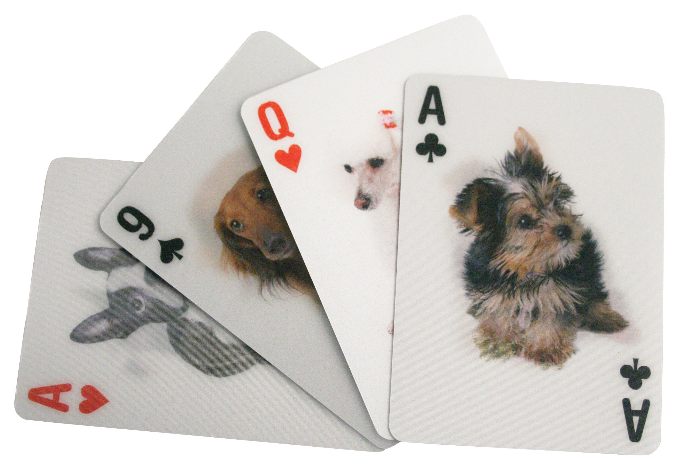 Dog 3D Playing Cards – Kikkerland Design Inc