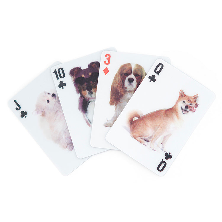 Playing Cards Dogs 3D