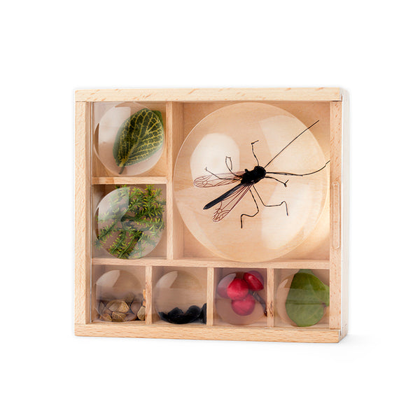 bugbug様25サイズ 138IGTハーフユニット2枚2セットグリップ1セット Huckleberry My Little Museum – Kikkerland Design Inc