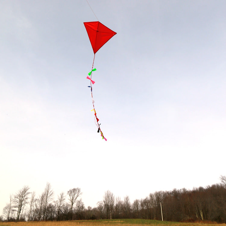 Huckleberry Red Kite – Kikkerland Design Inc
