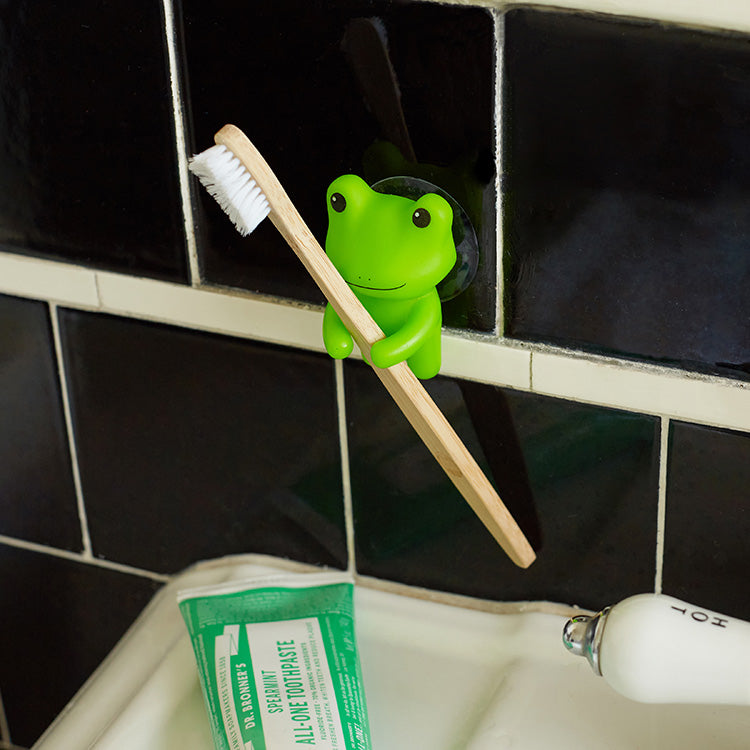 Frog Toothbrush Holder – Kikkerland Design Inc