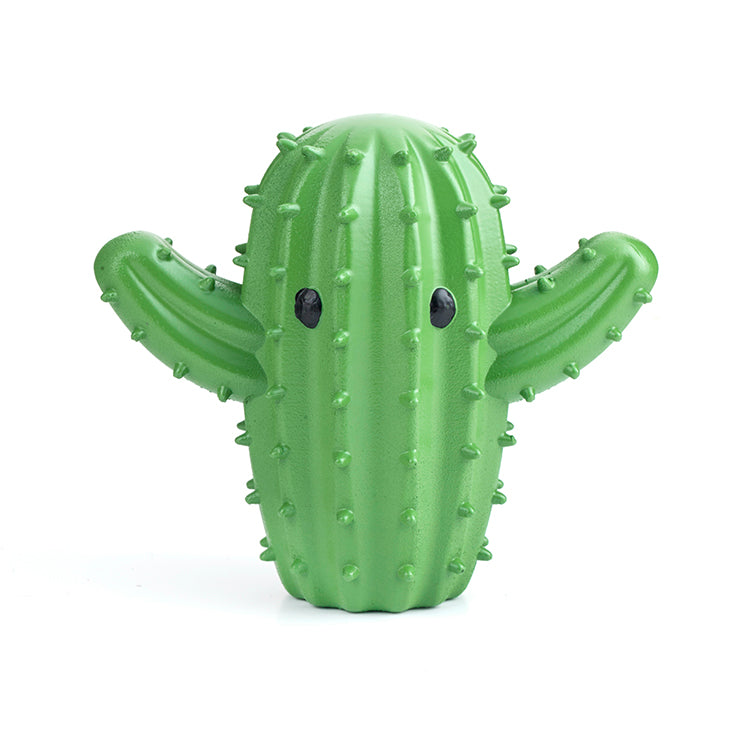 Cactus Dryer Buddies