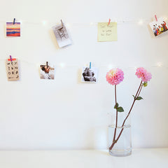 Mini Clothespin String Lights