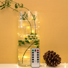 EXTRA LONG SILVER STRING LIGHTS