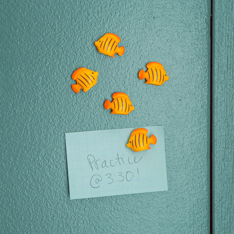 Fish Magnets – Kikkerland Design Inc