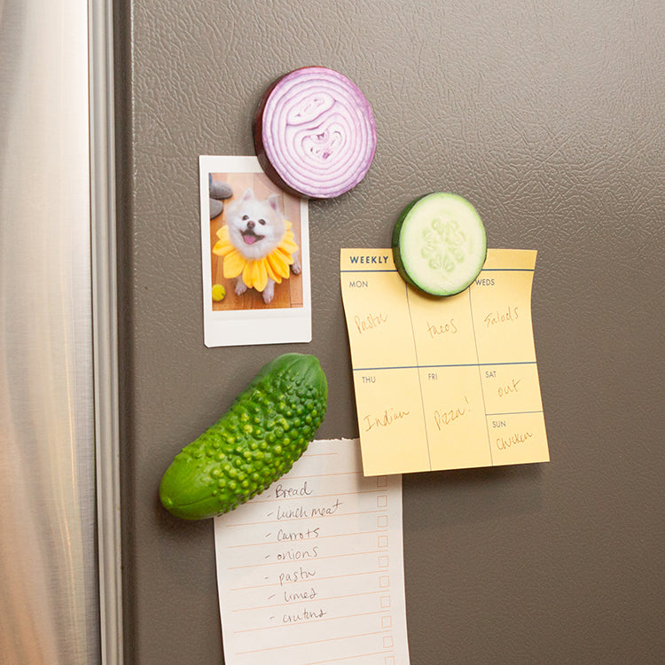 Vegetable Magnets