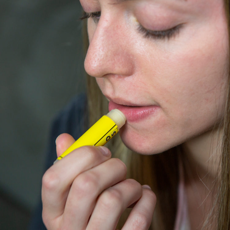 DIY Beeswax Lip Balm kit