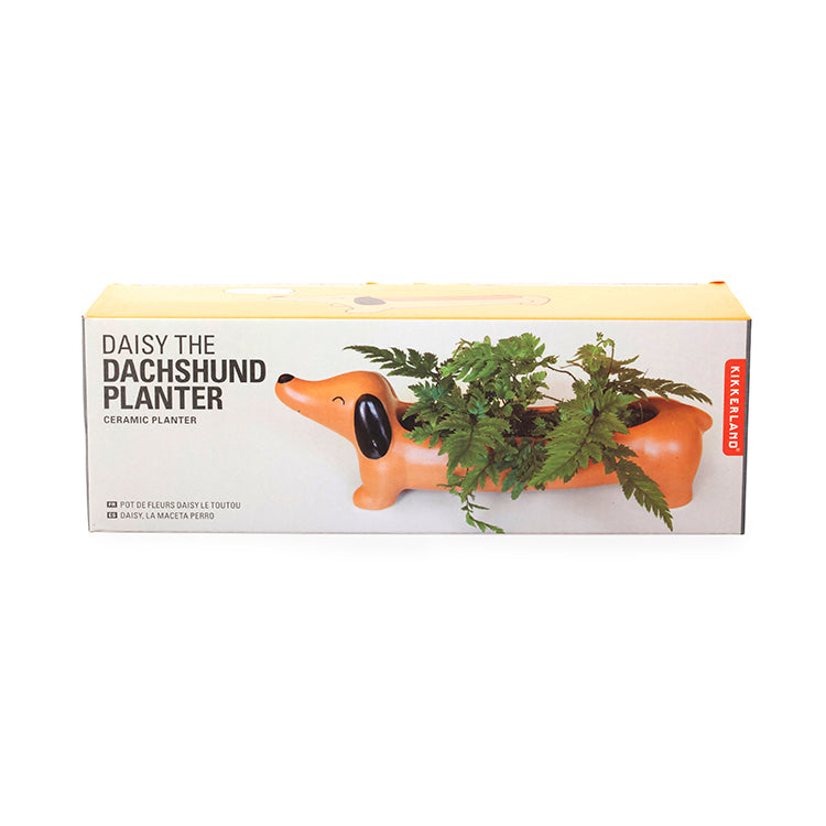 Daisy the Dachshund Planter – Kikkerland Design Inc