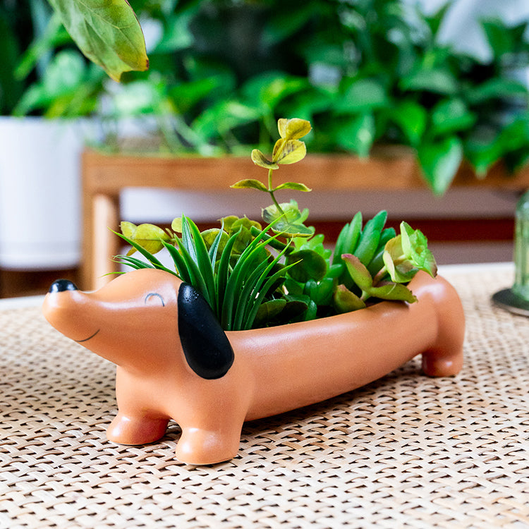 Daisy the Dachshund Planter – Kikkerland Design Inc
