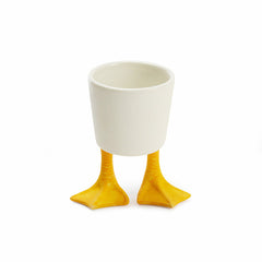 Small Duck Feet Planter