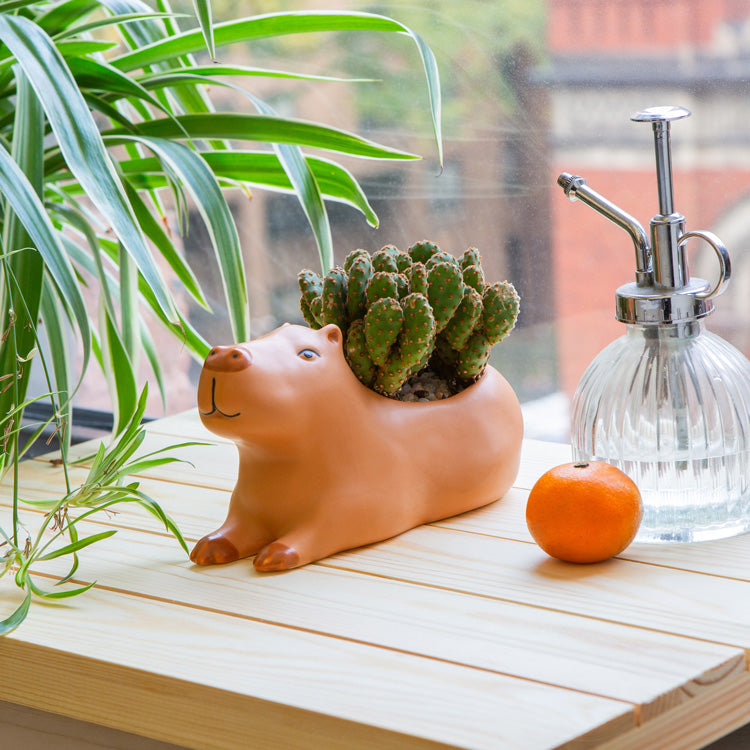 Cappy the Capybara Planter Large – Kikkerland Design Inc