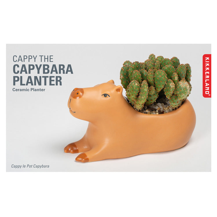 Cappy the Capybara Planter Large – Kikkerland Design Inc
