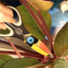 Toucan Kitchen Shears