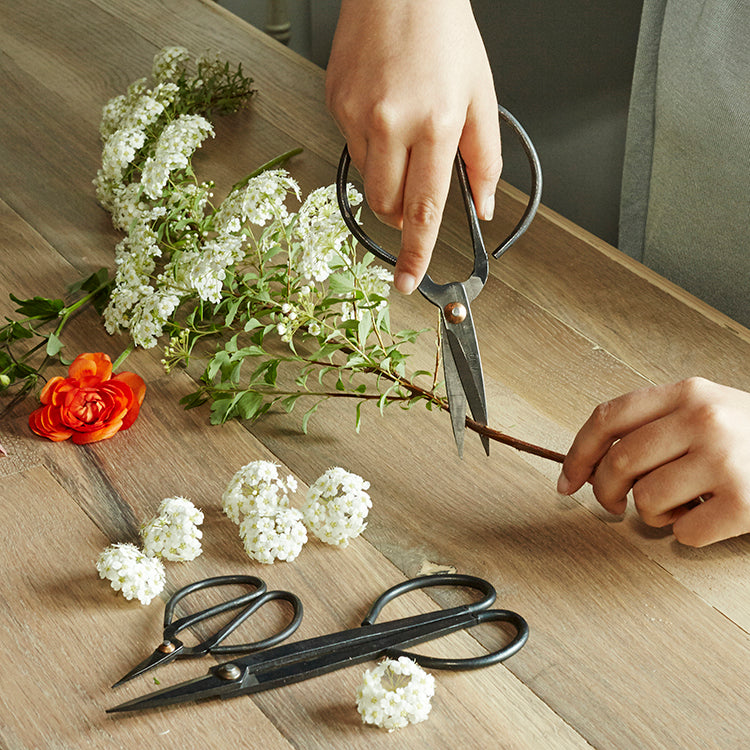 Kikkerland Garden Shears - Thumbnail 4