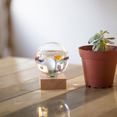 Galileo thermometer