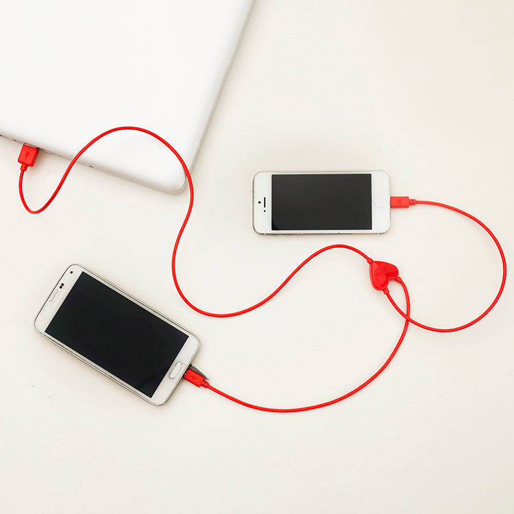 Dual Heart iPhone Charging Cable