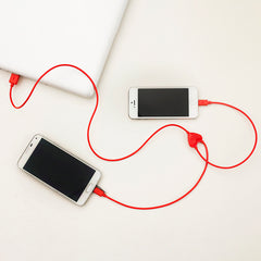 Dual Heart iPhone Charging Cable