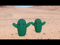 Cactus Dryer Buddies - LB18