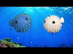 LB09 - Puffer Fish Dryer Buddies