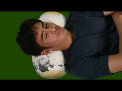 TT22 - Birch Pillow