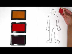 ANATOMY STAMPS - GG237