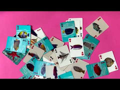 3-D Fish Cards (GG241)