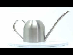 Stainless Steel Watering Can - WC03