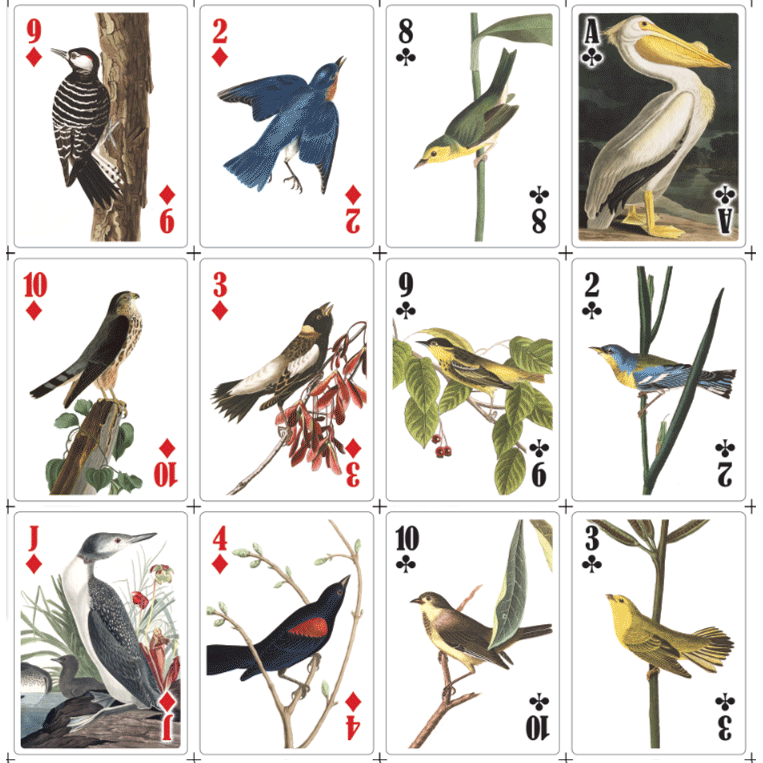 3-D Bird playing cards