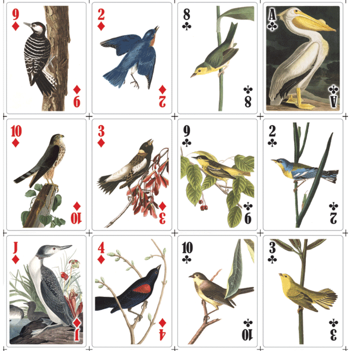 3D Lenticular Bird Standard Playing Cards