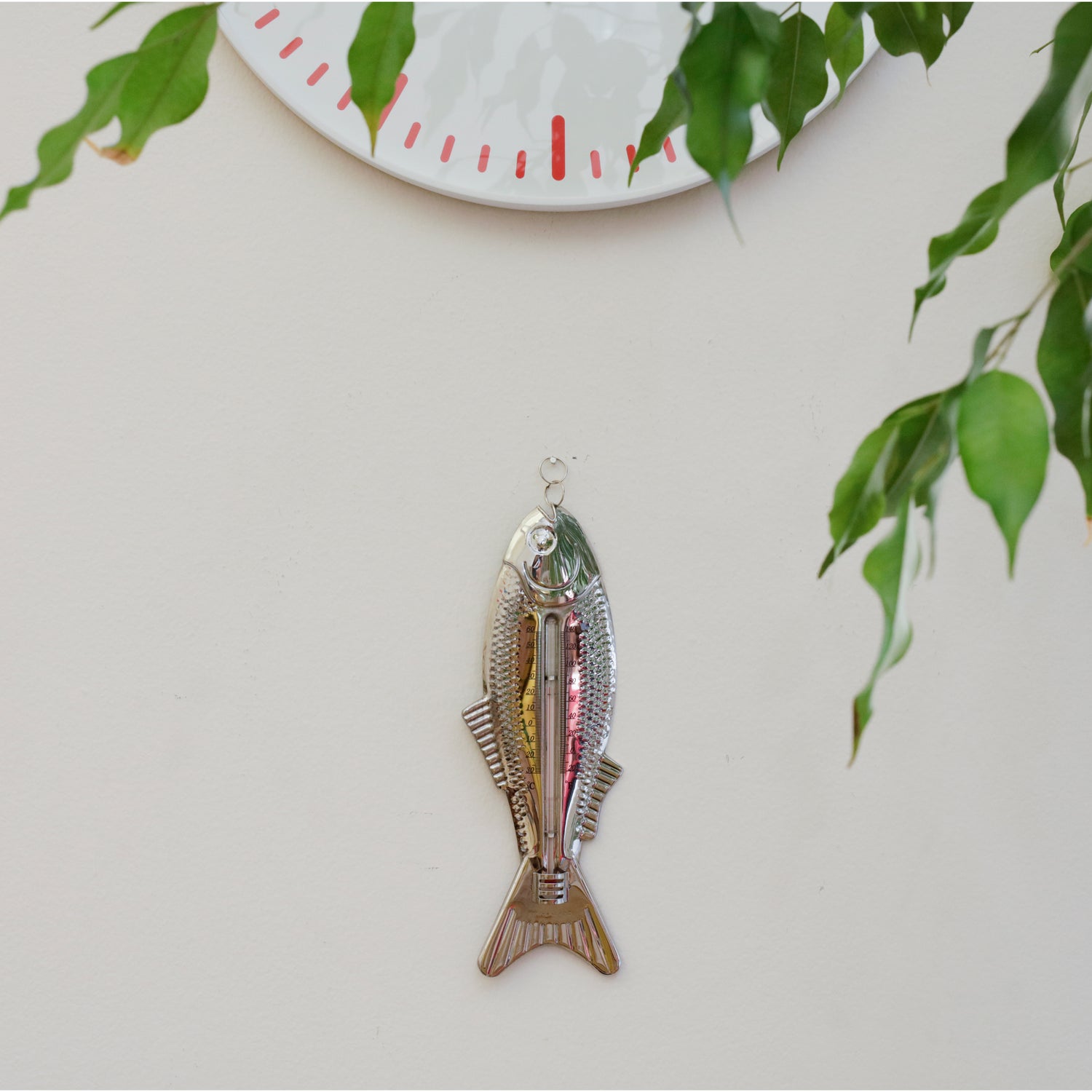 Fishing water thermometer, depth gauge - CG Emery