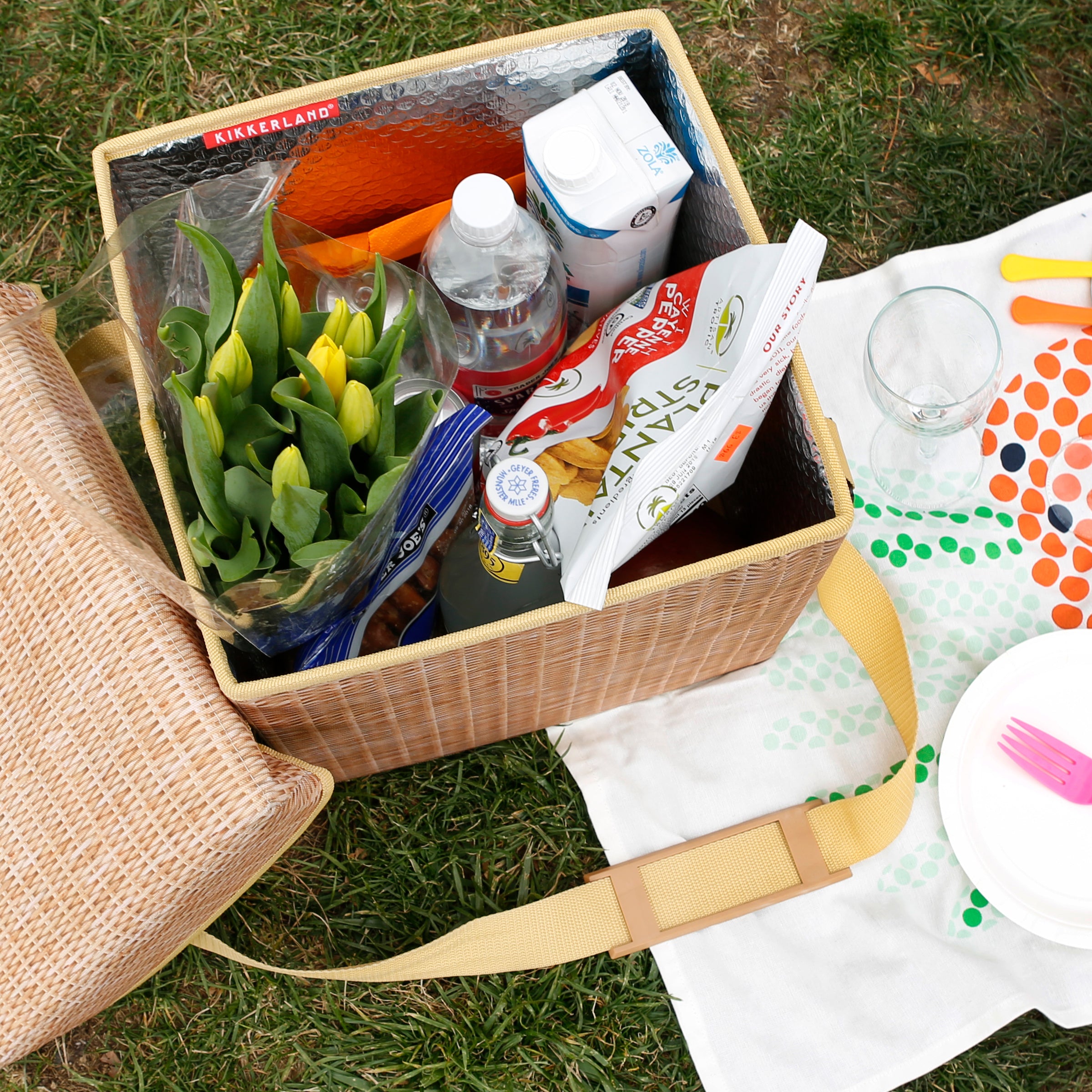 Picnic Essentials – HonestlyYUM