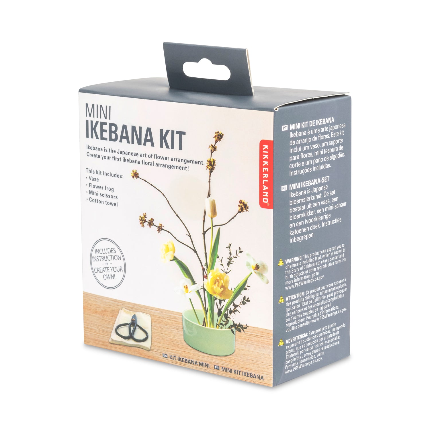 Mini Ikebana-pakket