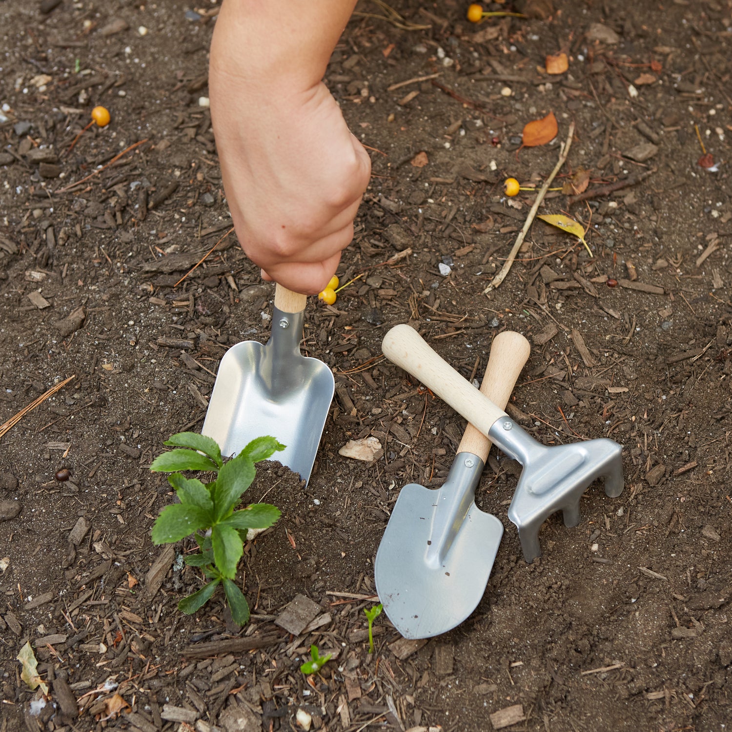 Ensemble d'outils de jardinage