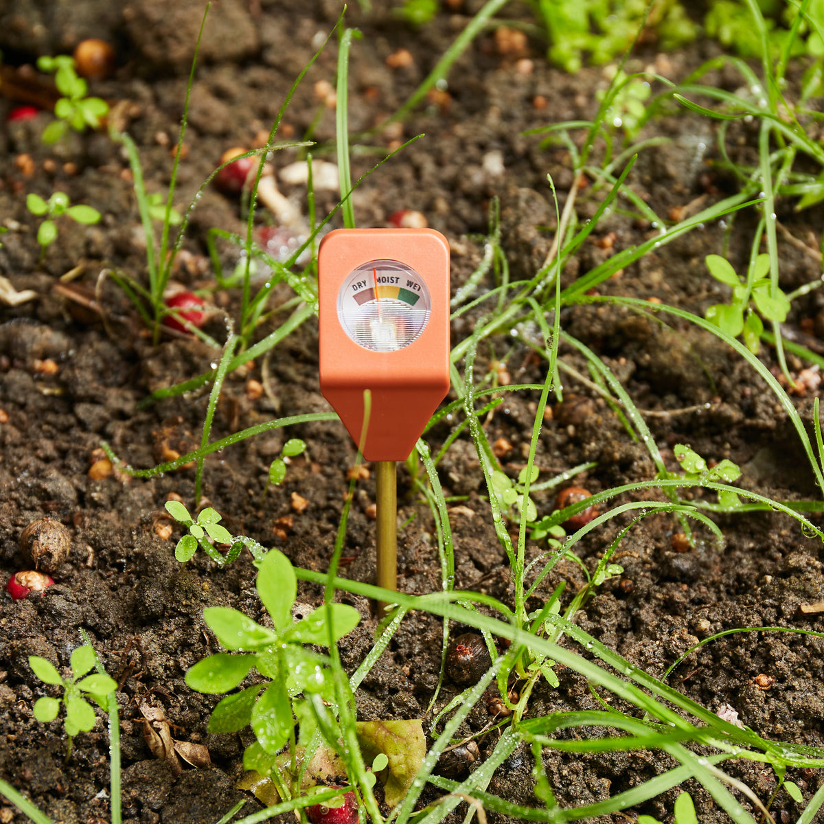 Garden Hydrometer — Kikkerland Design Inc