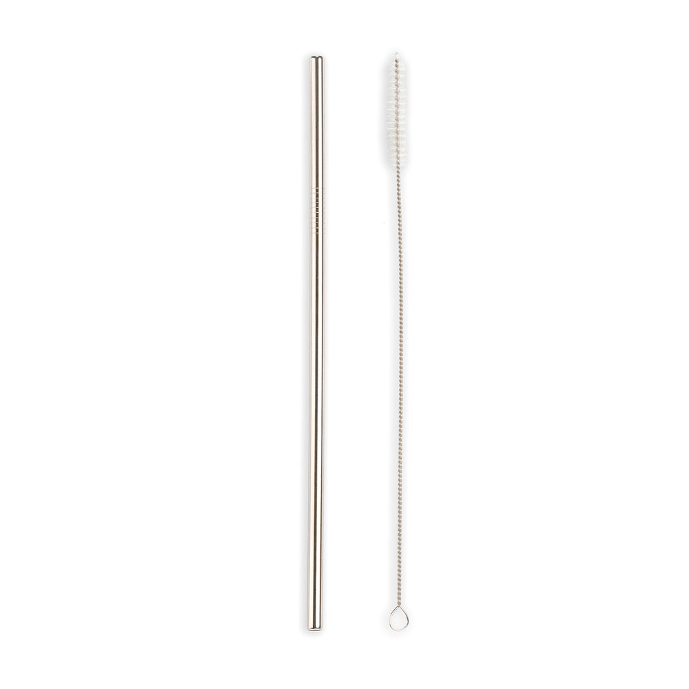 Stainless Steel Straws S/10