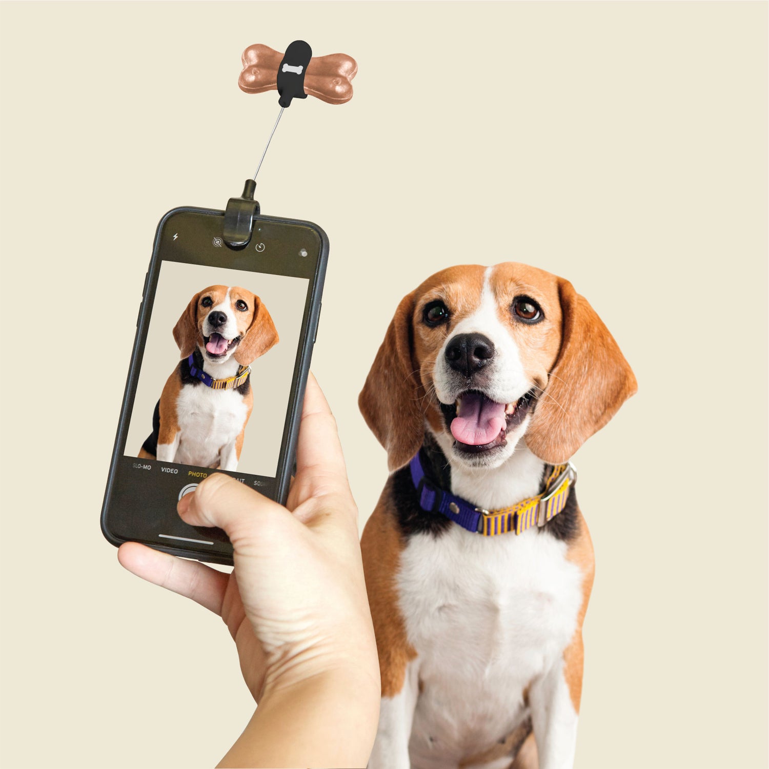 Clip selfie pour friandises pour chien