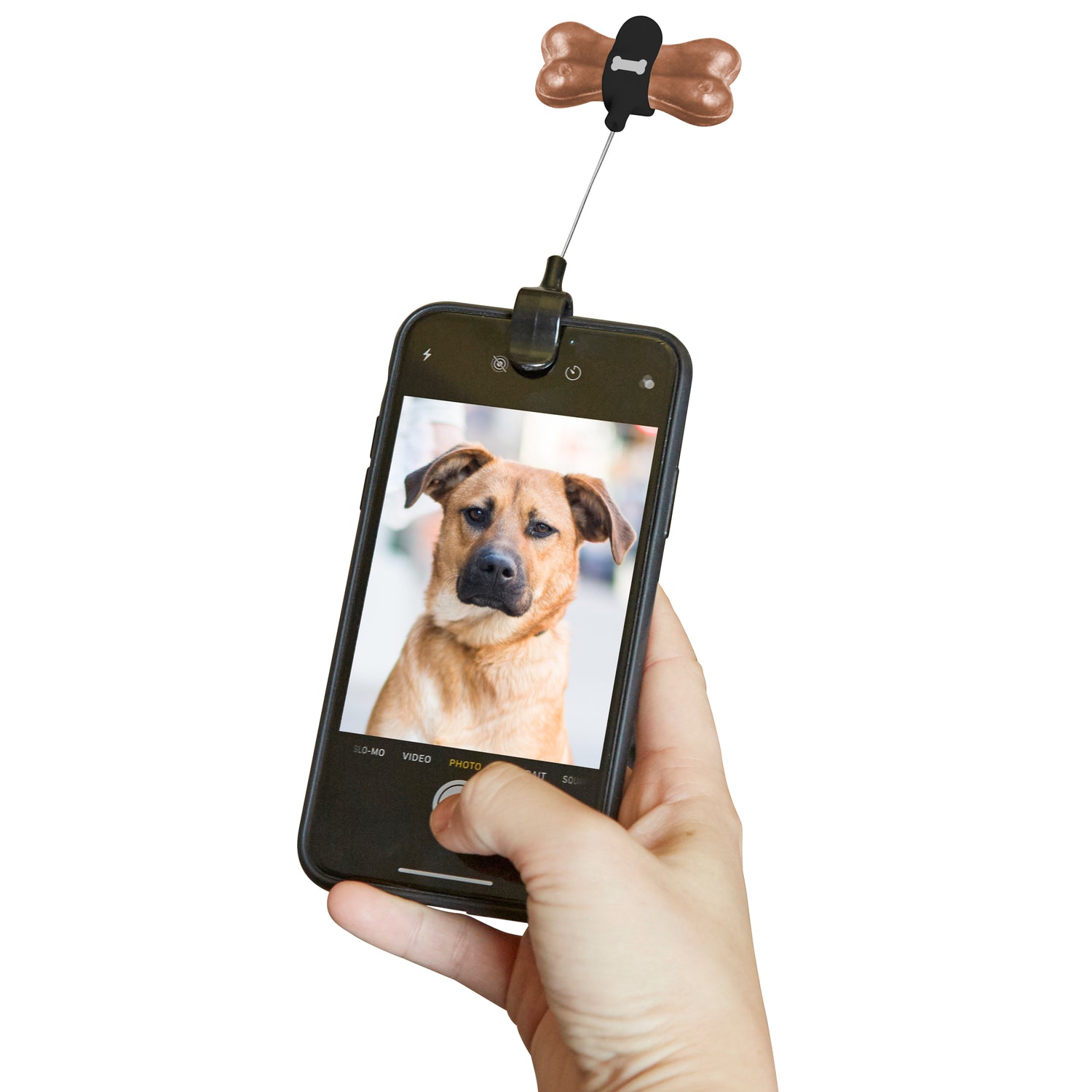 Clip selfie pour friandises pour chien