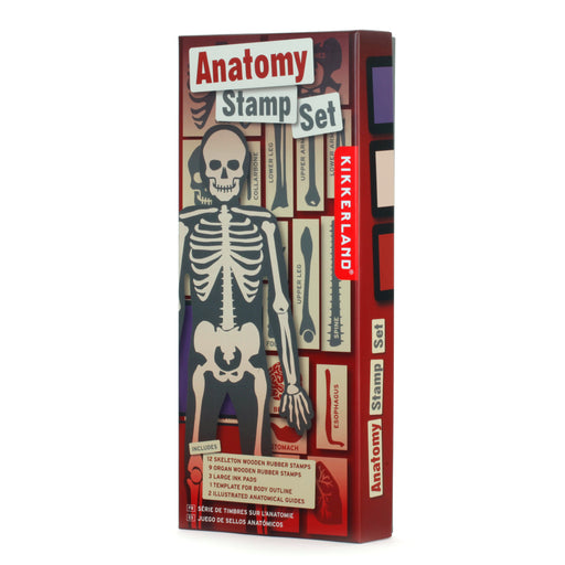 DIY Human Body Anatomy Stamp Set, 21 Pc