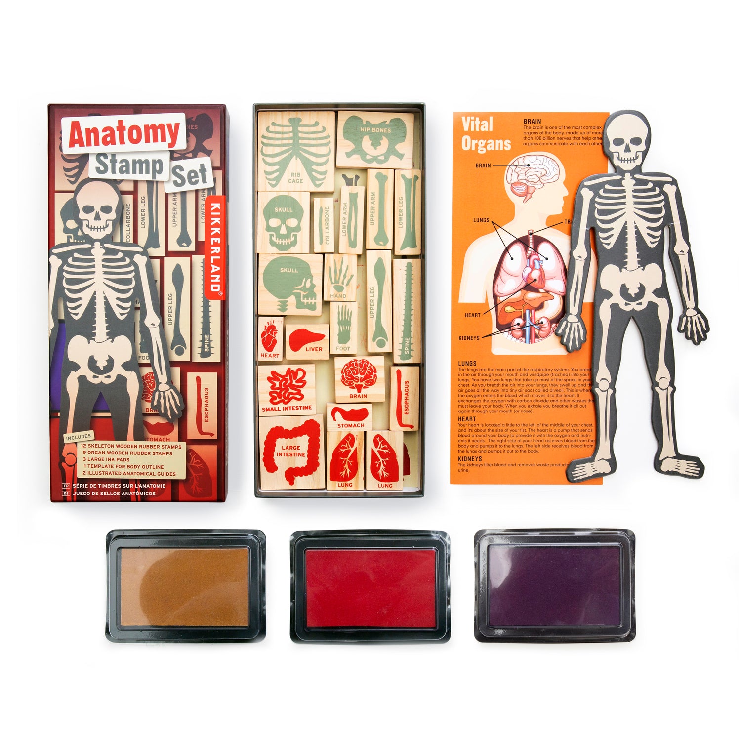 Anatomical Heart Cutter & Stamp