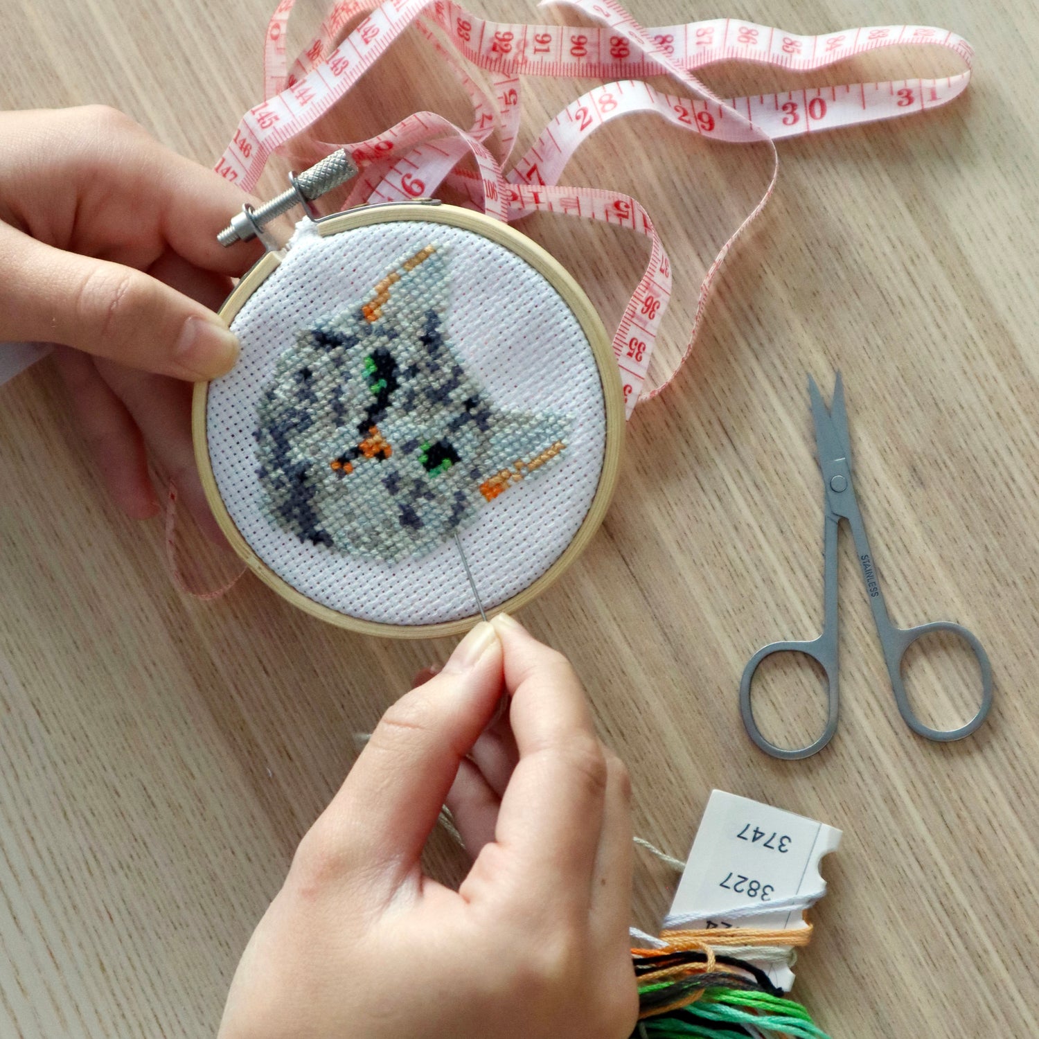 Tabby Cat Mini Cross Stitch Embroidery Kit