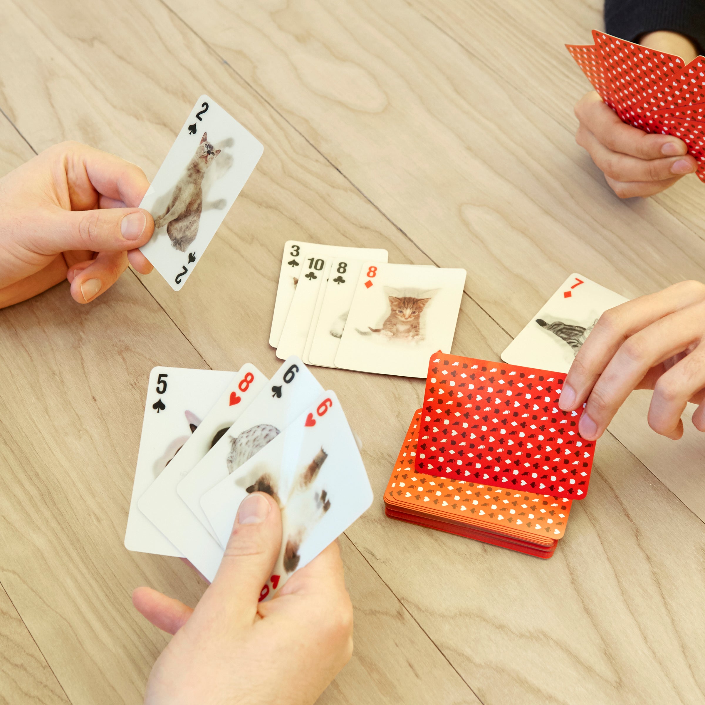 Cat 3D Playing Cards – Kikkerland Design Inc