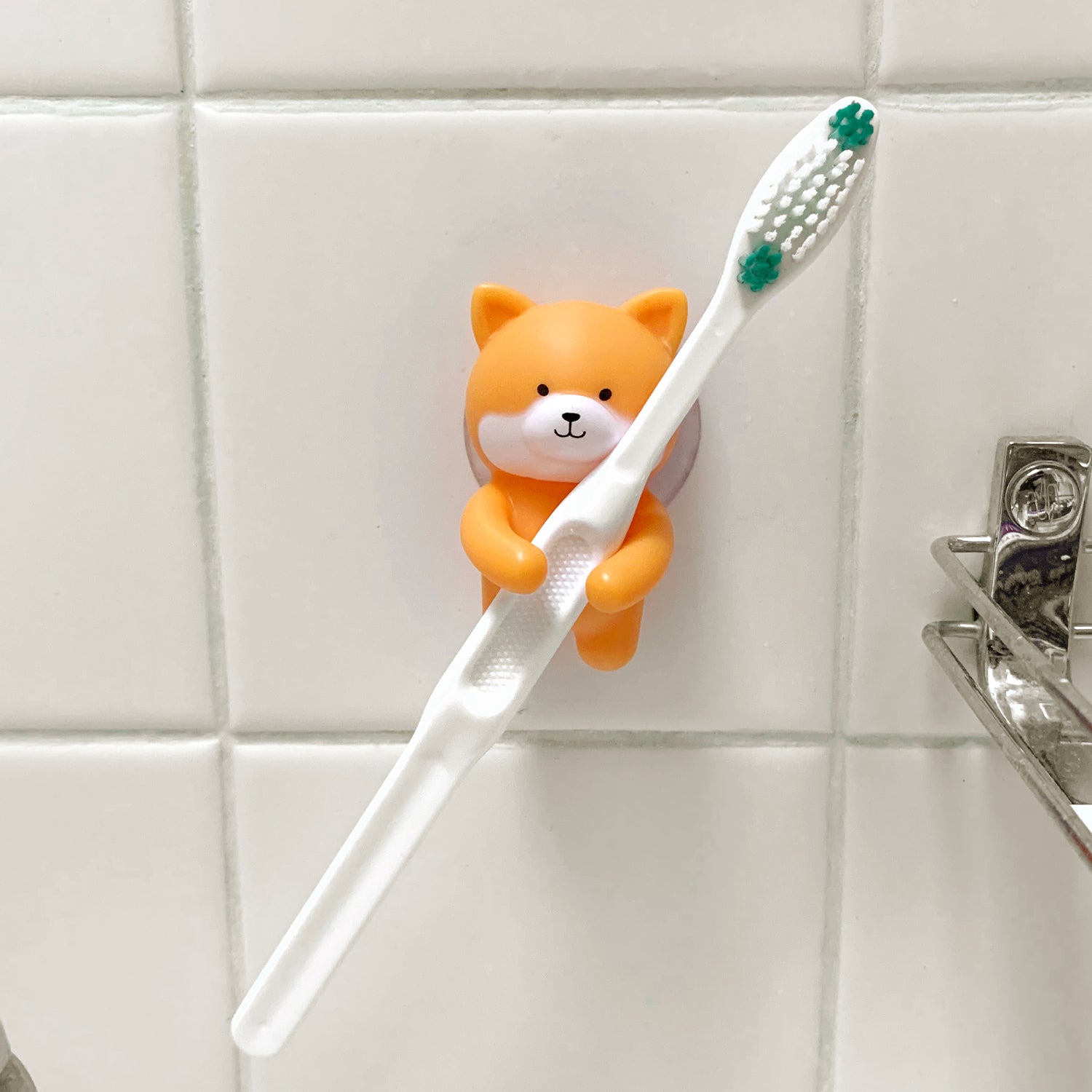 Porte-brosse à dents pour chien
