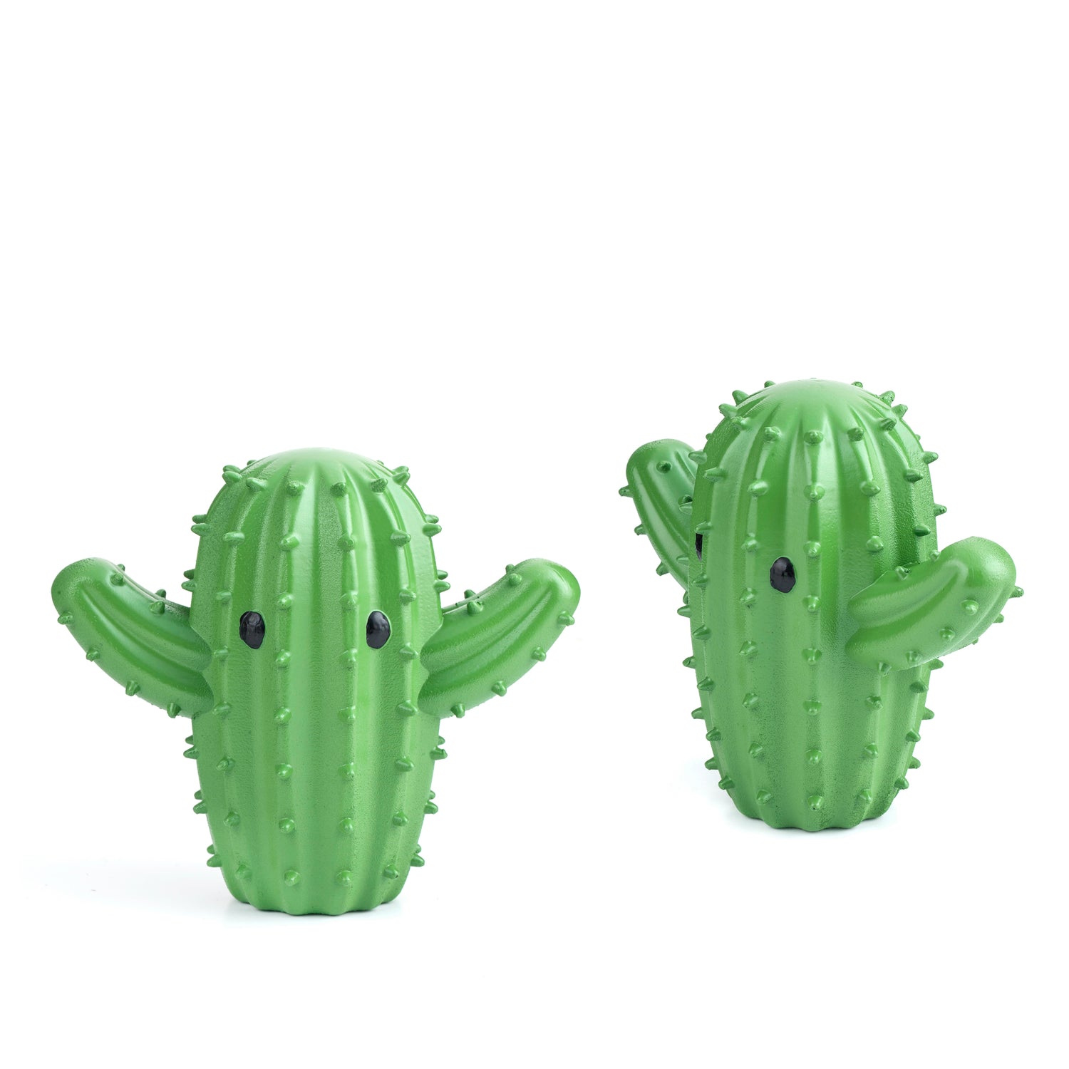 Cactusdrogervrienden